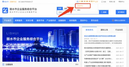 麗水企業(yè) 2021年中小微企業(yè)服務(wù)券申領(lǐng)正式啟動(dòng)，助力信息技術(shù)咨詢服務(wù)發(fā)展
